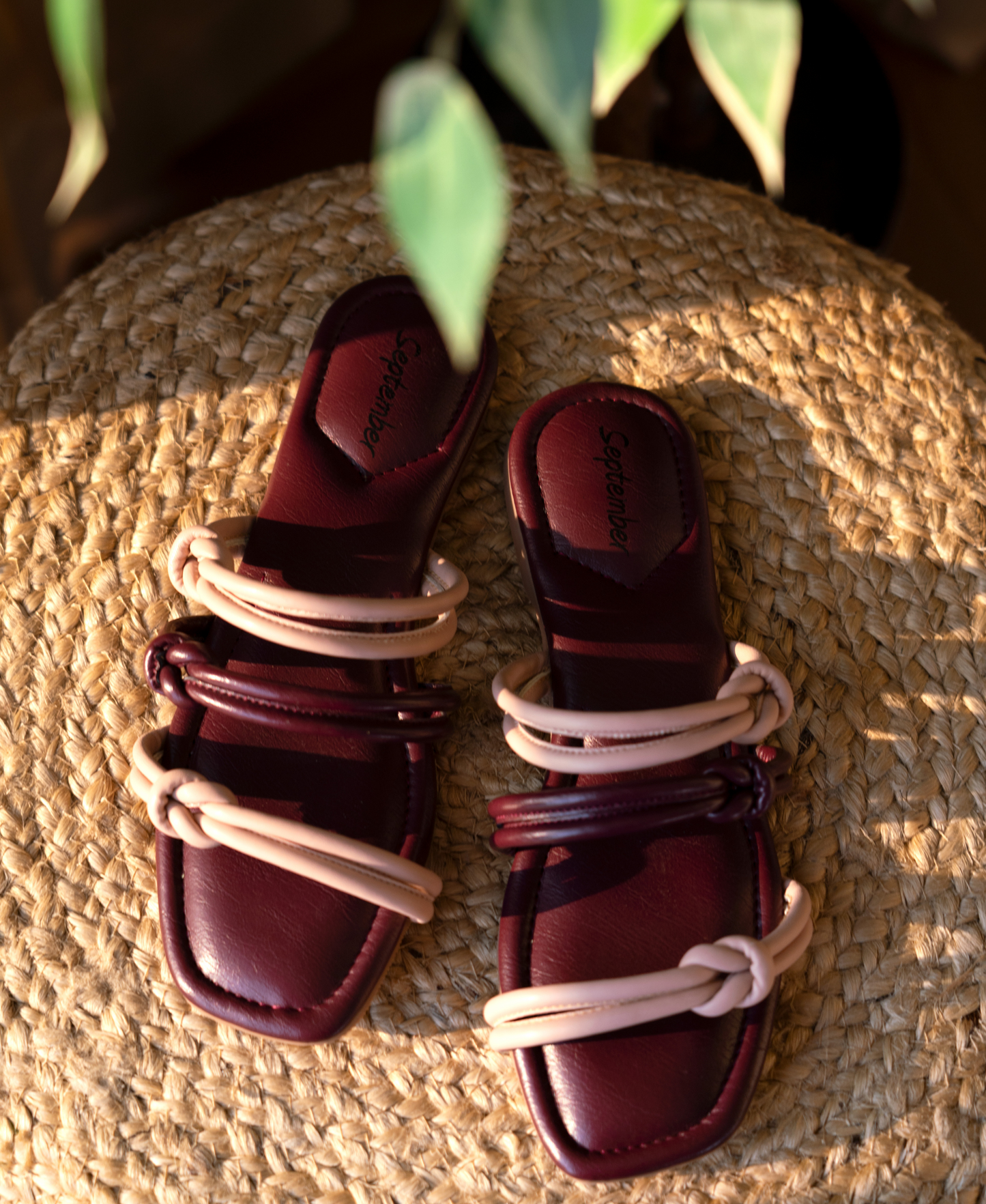 Ray of Style- Burgundy